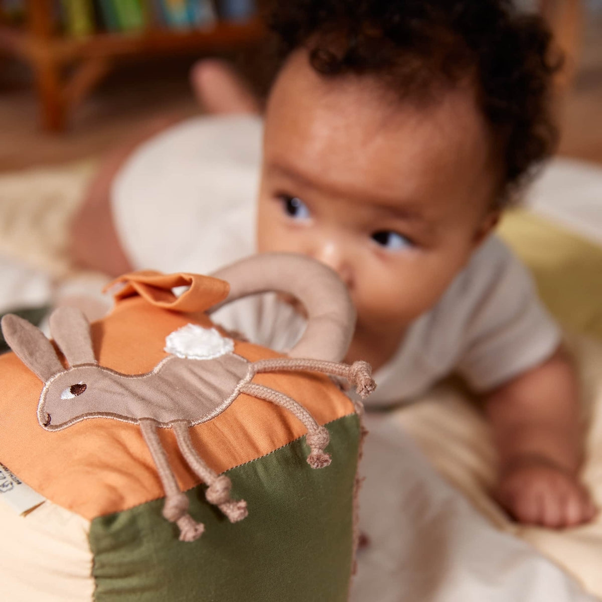 Activity cube - Carrot Thief