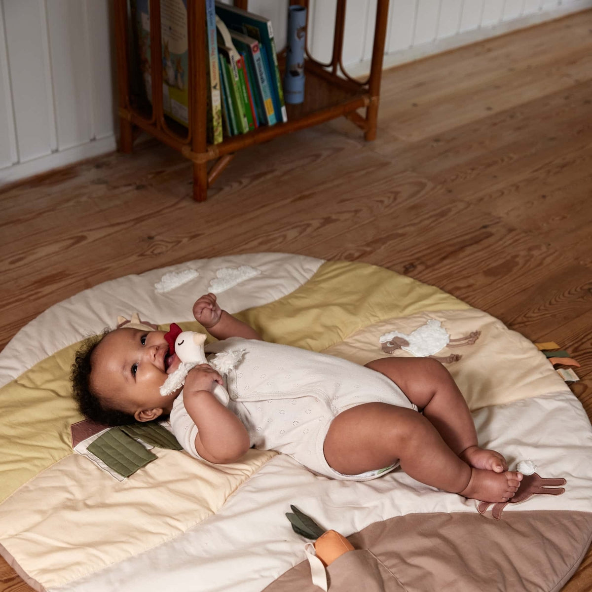 Activity blanket - My big Farm