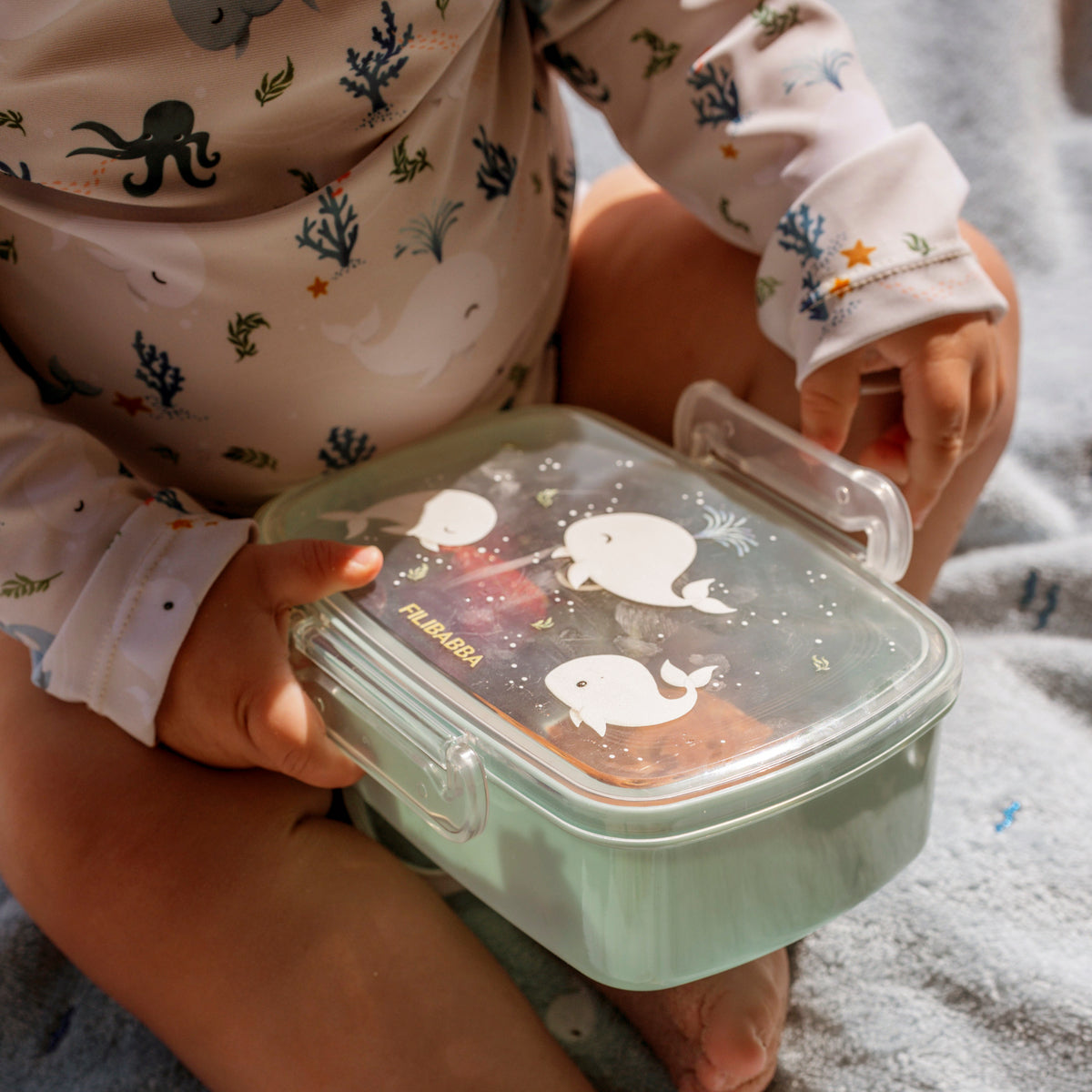 Lunch boxes – 2-pack – Christian's Whale Tales