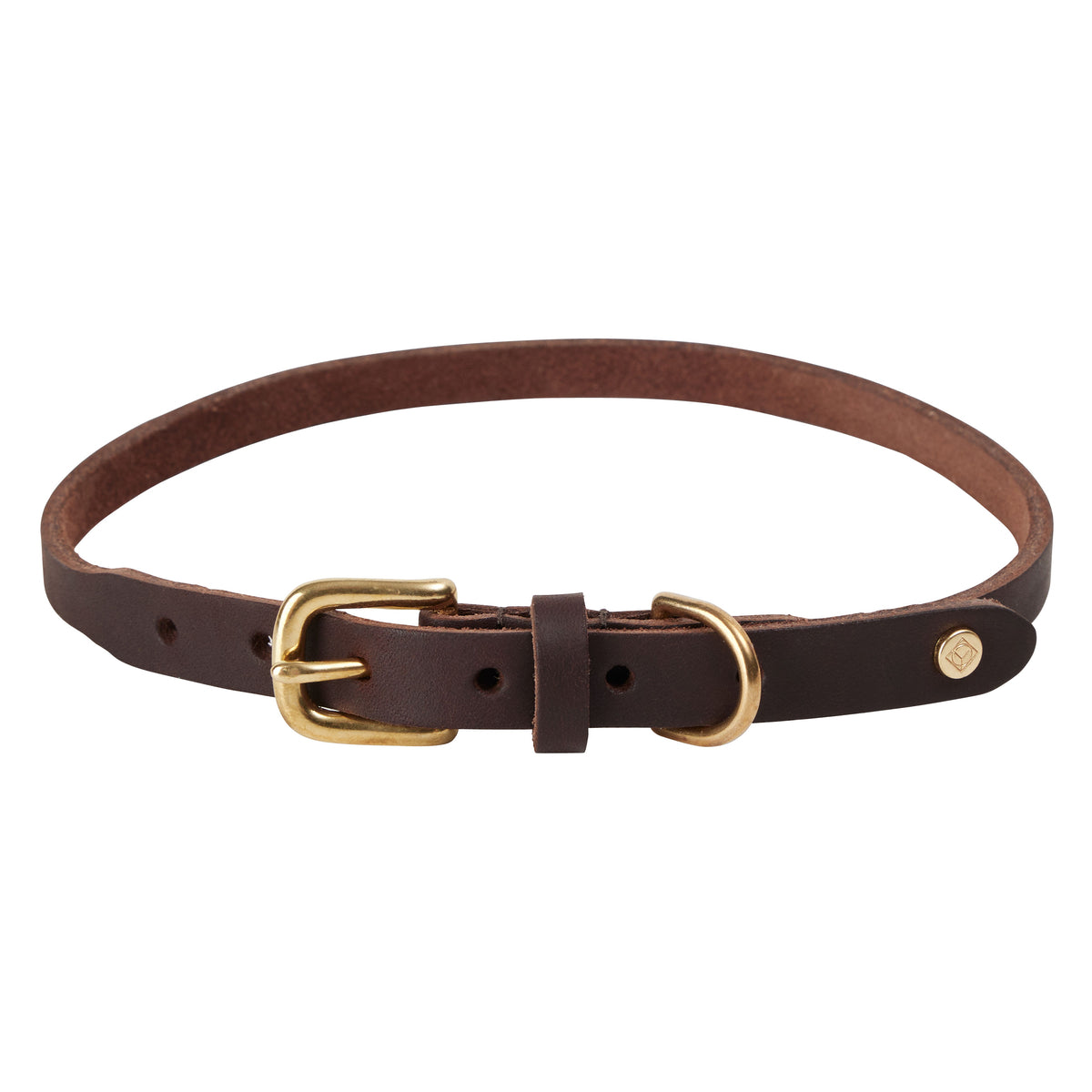 Robin Dog Collar - Extra Large